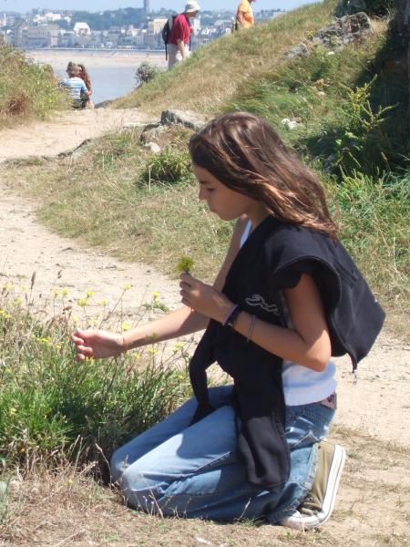 CaMilLe